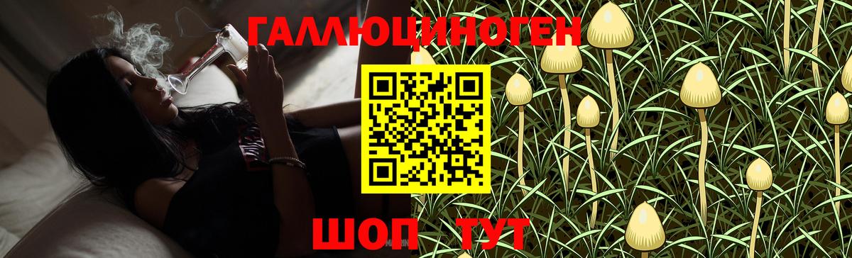 Псилоцибиновые грибы ЛСД  Вход с VPN  Галлюциногенные грибы GOLDEN TEACHER  Алатырь 